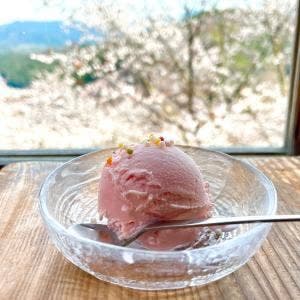 陽ぼっこ