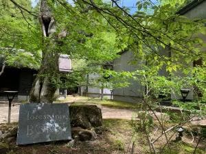 forest inn BORN