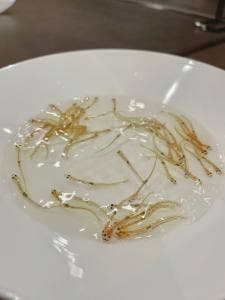 日本料理 とり市