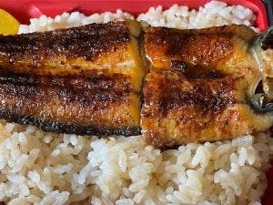 宇佐見鰻店