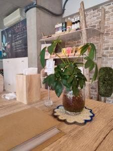 Sunny Place nagomi
