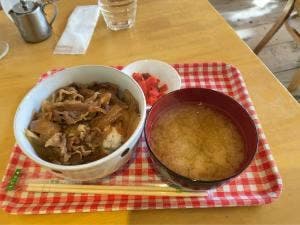 樫の木