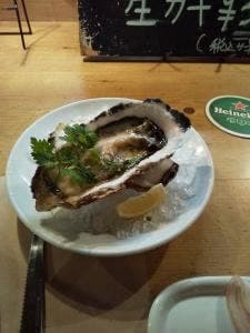マウンティ