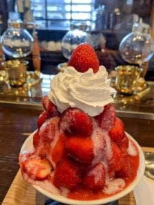 珈専舎たんぽぽ