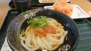 はなまるうどん サントムーン柿田川店