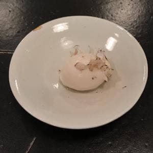 食堂セゾンドール