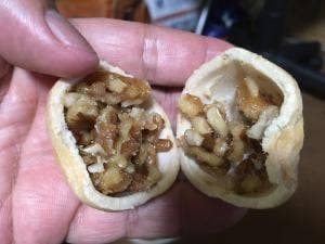 佃の佃煮