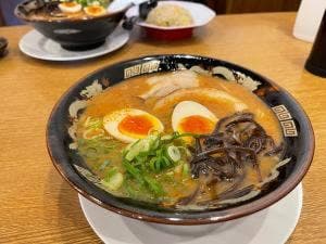 博多ラーメン 龍 福山緑町店