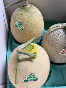 土橋農園