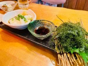 琉球酒場 くわち家
