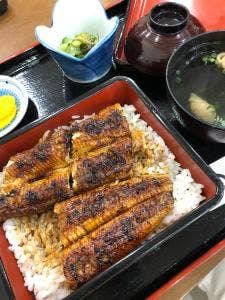 うなぎの幸栄わさだ店