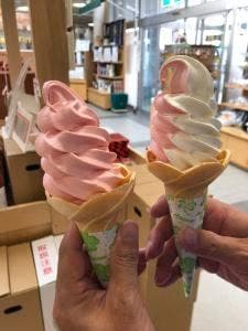 道の駅 とうま