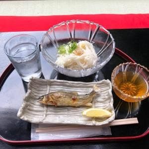 古今 藤や