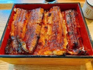 横浜魚春