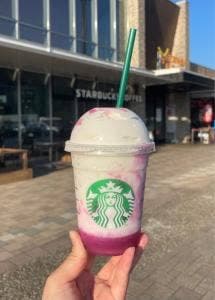 スターバックス コーヒー EXPASA談合坂サービスエリア下り線店