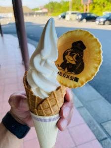 道の駅 紀宝町ウミガメ公園 売店 レストラン