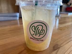 SPICE CACTUS