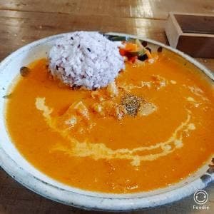 CAFE めがね書房