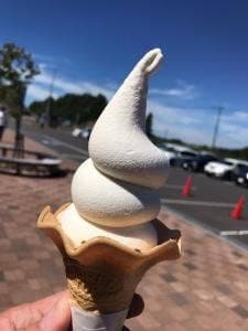 道の駅あびら D51ステーション