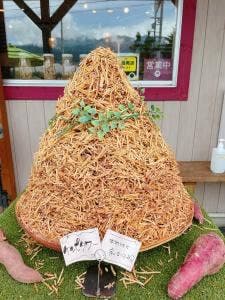 おいも日和