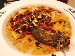 四川料理専門店 成都娘酸菜魚