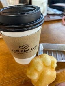 愛犬の駅