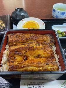 いぬぶし