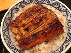 うな政 藤枝店