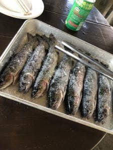 塩釜養魚センター