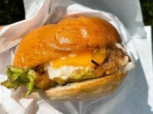 Go Bring Slider ekoda