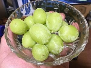 サカイダフルーツ