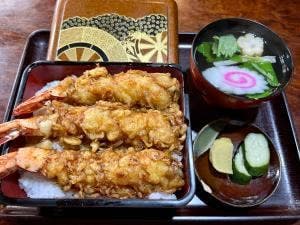 まるよ 太海