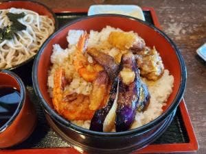 更科