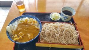 坪井更科
