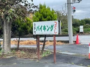 つくし