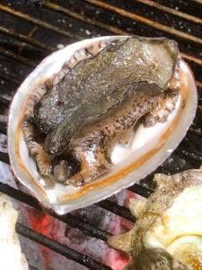 ペンション SHIOSAI