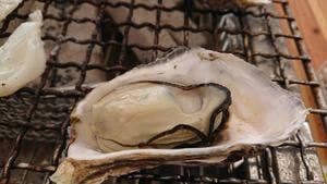 カキハウス マルハチ