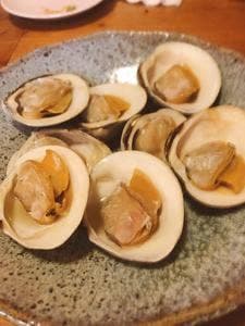 大衆炉端シーガル