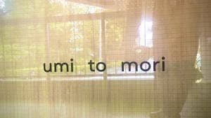 umi to mori