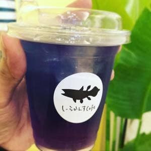 しーらかんすCafe