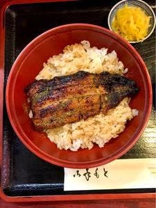 うを卯