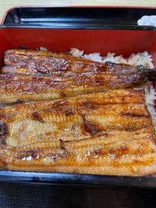 新橘