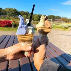 キッツェミサ