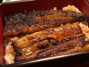 うなぎ・日本料理 正楽
