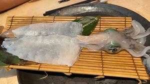 いか天国