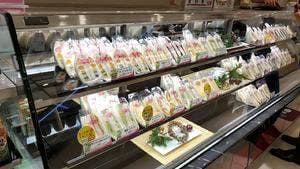 サンドイッチ メルヘン 日本橋高島屋店