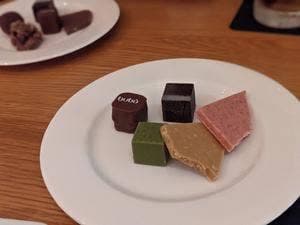 bubo BARCELONA 表参道店