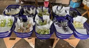 神田精果園 直販所