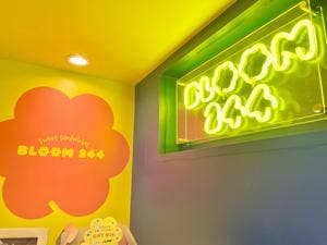 BLOOM244