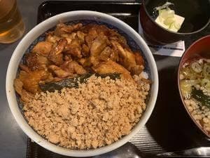 芝の鳥一代